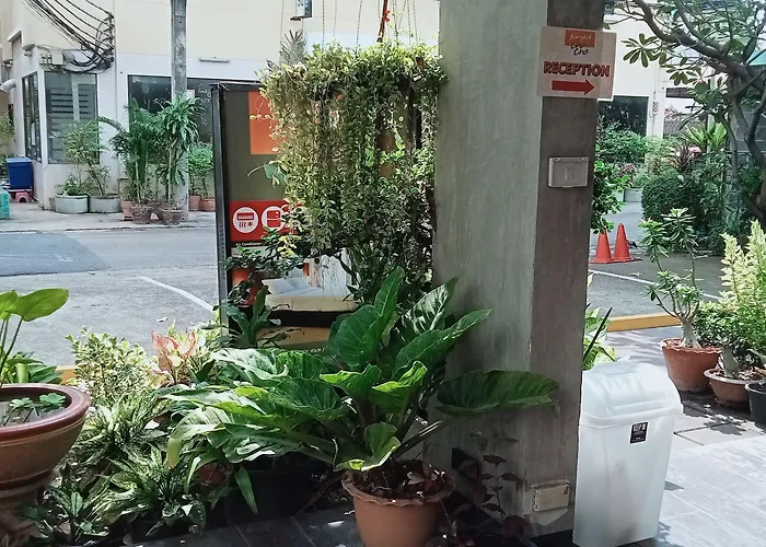 Collection O The Cha Cha Bangkok